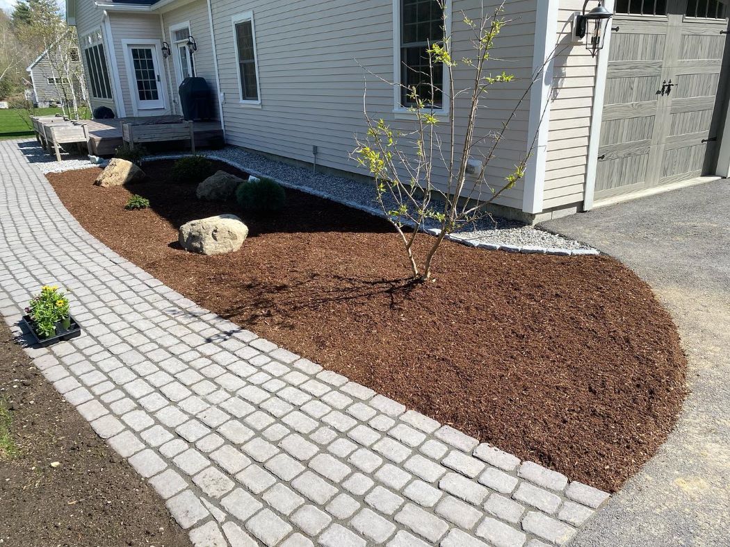 Mulched garden bed with young tree and rocks next to a cobblestone walkway in Sandown, NH.