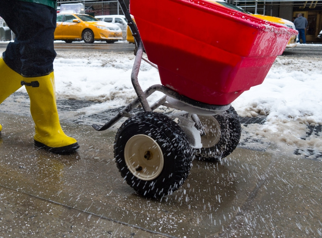 A person using a red salt spreader to distribute ice melt on a snowy sidewalk.
